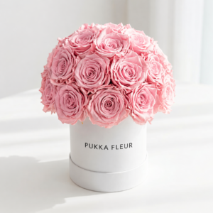 Black Small Dome Box - Pink Roses