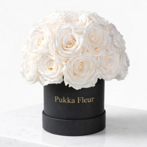 Black Small Dome Box - White Roses