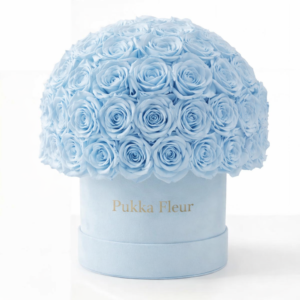Light Blue Medium Dome Box - Blue Roses
